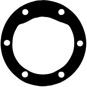 Pakning for pumpe 6 hull, BUKH DV 36, F7